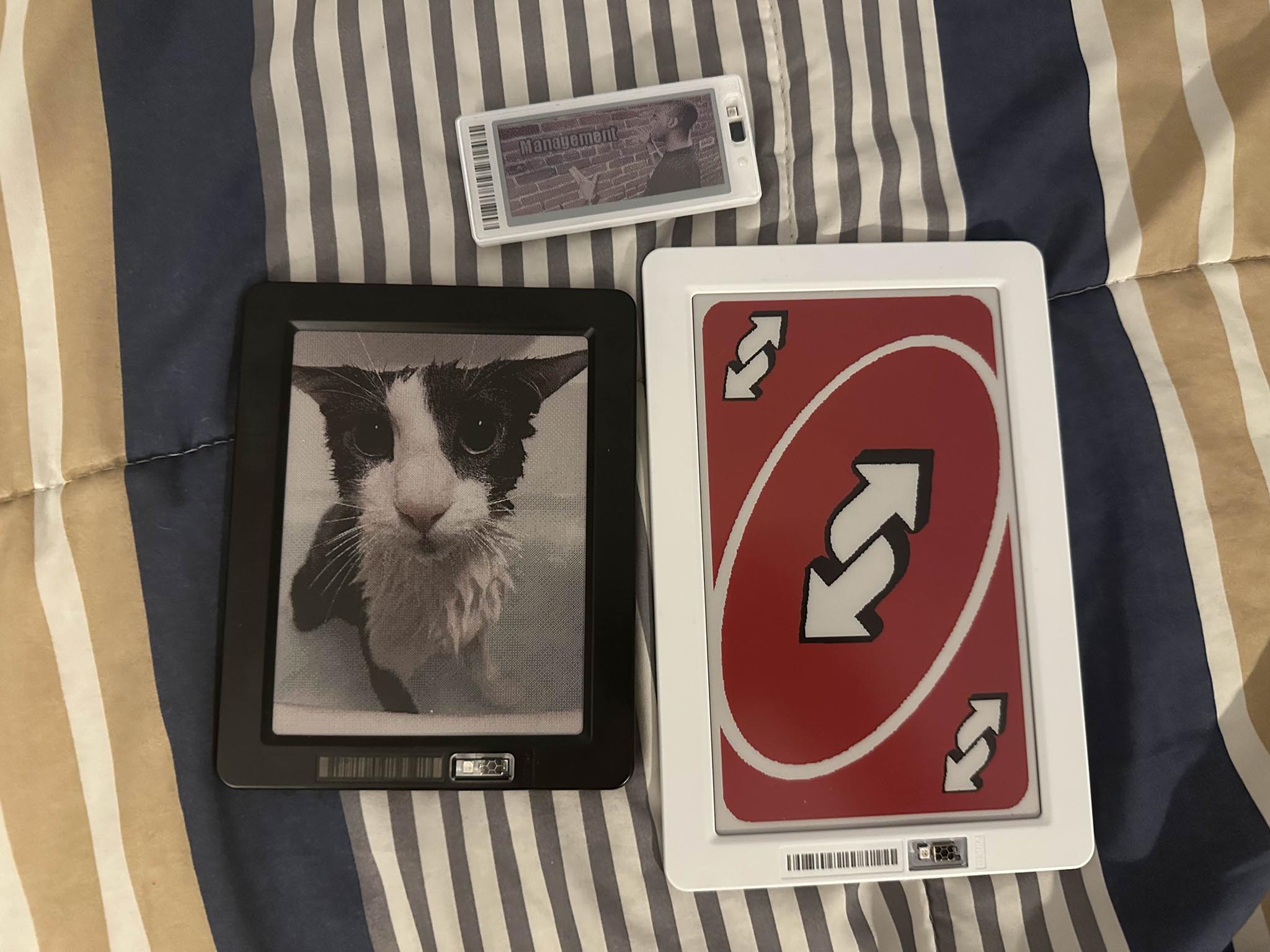 Pricer ESL tags with custom images.